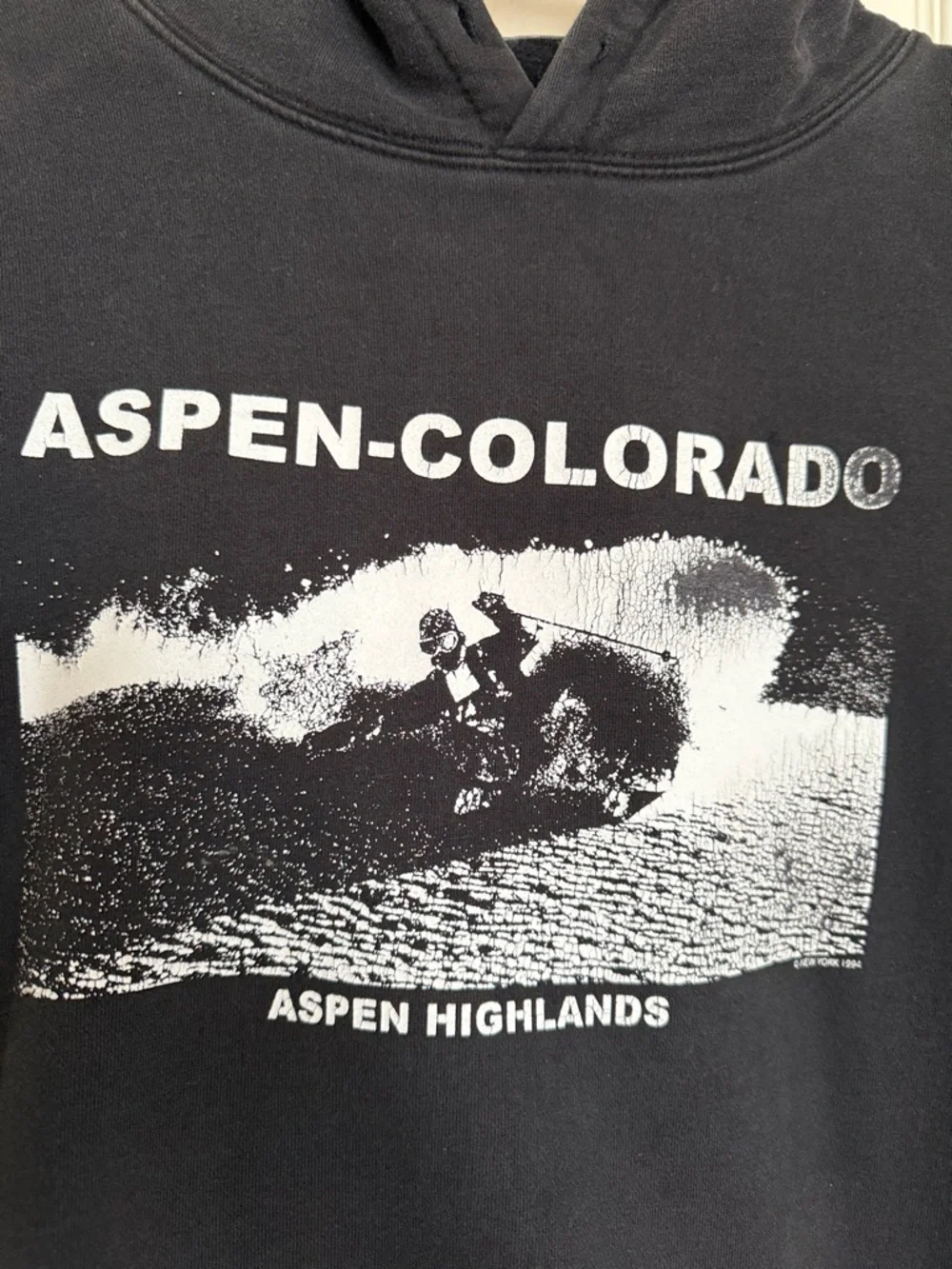 Brandy Melville | John Galt | Aspen Colorado | Hoodie - Picture 4 of 13